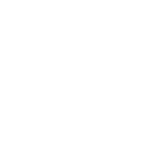 YPA baltas peršviečiamas logotipas be pavadinimo